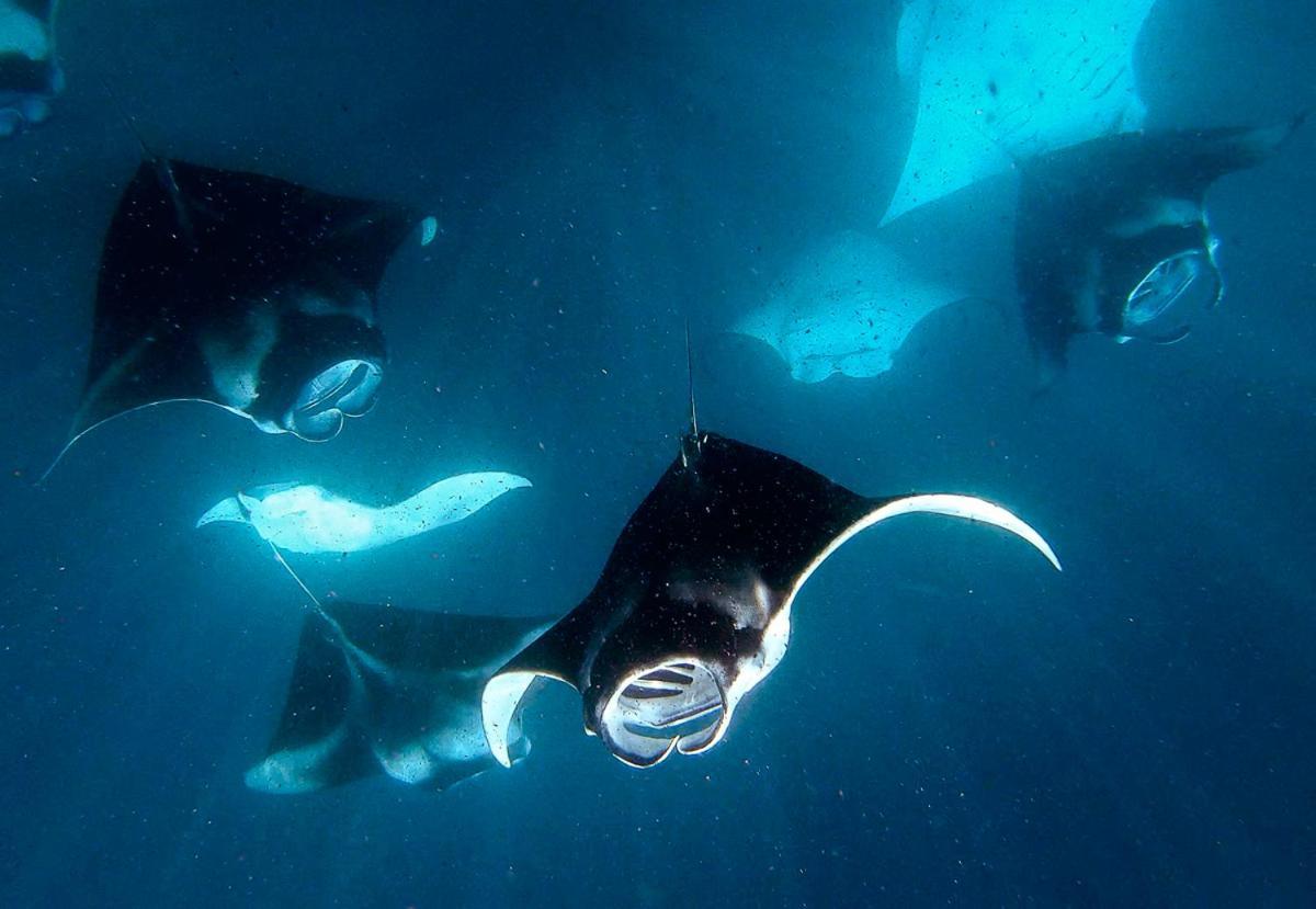 Manta Reserve Maalhos  ภายนอก รูปภาพ